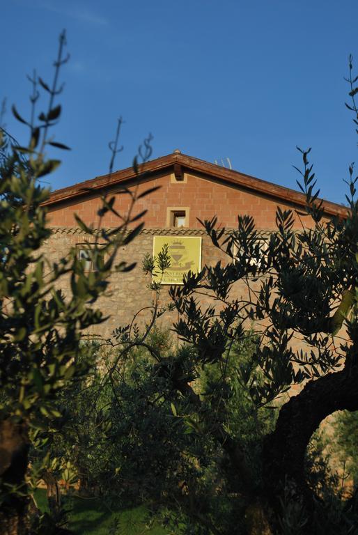 Agriturismo Casale Re Sonnino Buitenkant foto